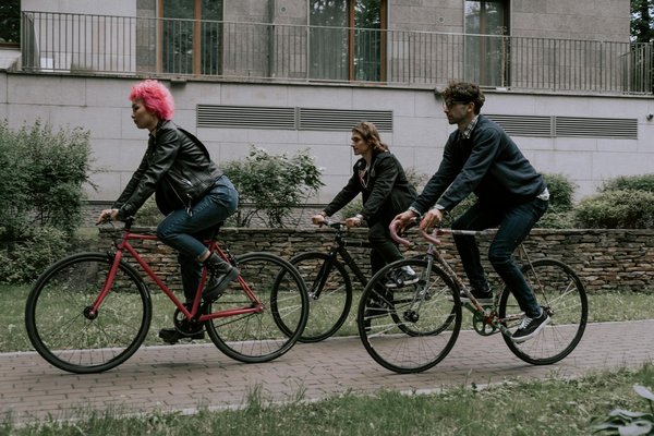 Scopri i migliori stili di weinbrenner per uomo su modalova