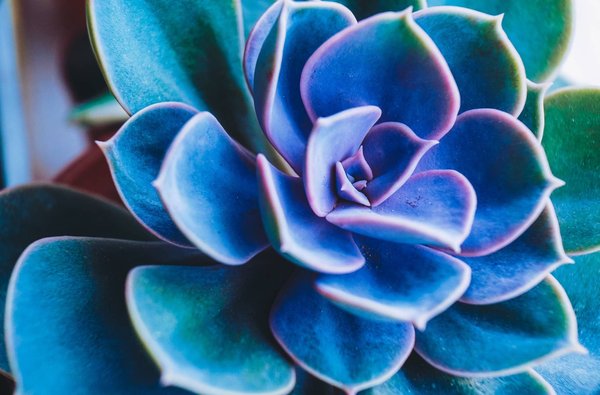 Come abbinare in modo innovativo le perle per un look giovane e fresco?